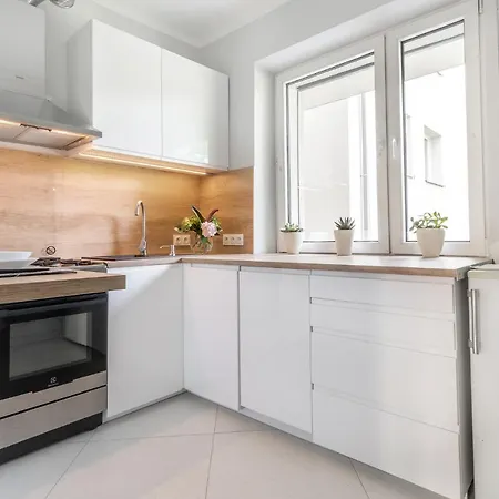 Apartament Adamskiego I Centrum * Katowice